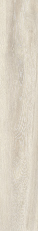 TAGINA Evoque Korina Naturale Ret. 20x120