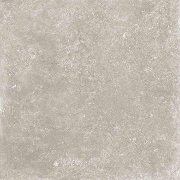 TAGINA Namur Coprispig Cendre 1.4x90