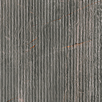 SERENISSIMA Fossil Foss Lines Piombo 30x120
