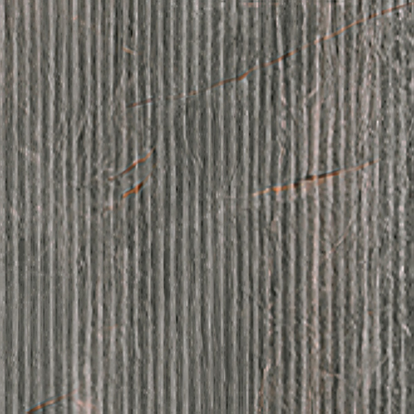 SERENISSIMA Fossil Foss Lines Piombo 30x120