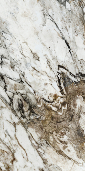 NAXOS Rhapsody Fantasy Rhaps 60x120