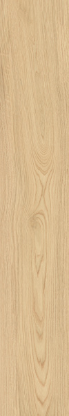 TAGINA Montalcino Quercia Paglierino 20x120