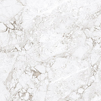 Progress ROSSALIA NATURAL керамогранит полированный 60х60 см AB 1208G