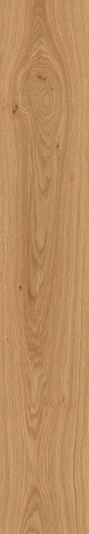 TAGINA Montalcino Rovere Miele 20x120