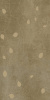 GIGACER Concrete Signs Beige Buds 60x120