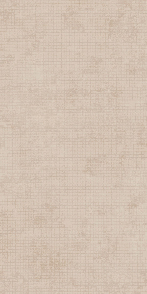 NAXOS Mind Plaster Marks Mol Molato 60x120