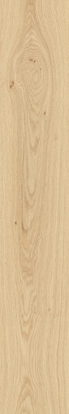 TAGINA Montalcino Rovere Paglierino 20x120