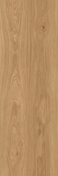 TAGINA Montalcino Rovere Miele 40x120