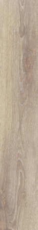 TAGINA Evoque Doussie Naturale Ret. 20x120