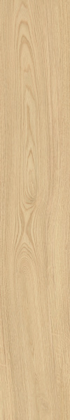 TAGINA Montalcino Quercia Paglierino 20x120