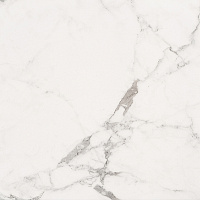 Progress CARRARA CLASSIC керамогранит полированный 60x60см  AB 1095G