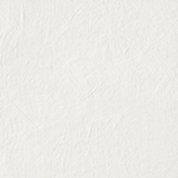 CIR Chromagic Tasty Oyster 60x60