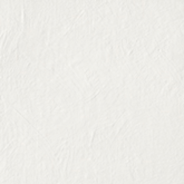 CIR Chromagic Tasty Oyster 60x60