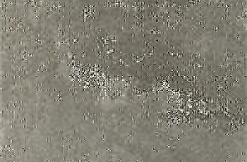 CIR Molo Audace Bocca Lupo 40x60.8