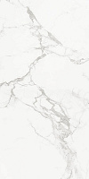 Progress CARRARA CLASSIC  керамогранит полированный 120x60 см  AB 1112G