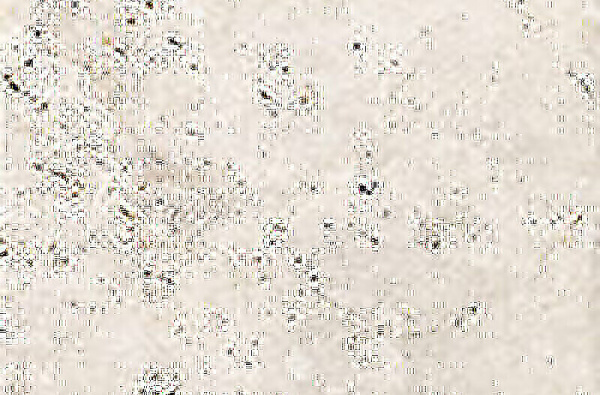 CIR Heritage Ivory 40x60.8 1080546