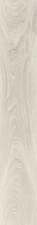 TAGINA Evoque Korina Naturale Ret. 20x120
