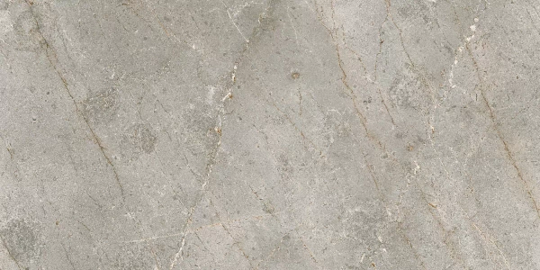 IDALGO Граните Бардильо Классик 1200х600 SR, С