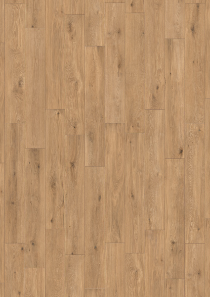 CAESAR Cocoon Joy 60x60