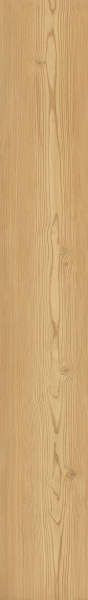 TAGINA Montalcino Larice Miele 26.5x180