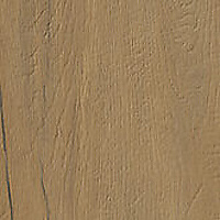 SERENISSIMA I Lecci Intr Leccio Oliato 60x60