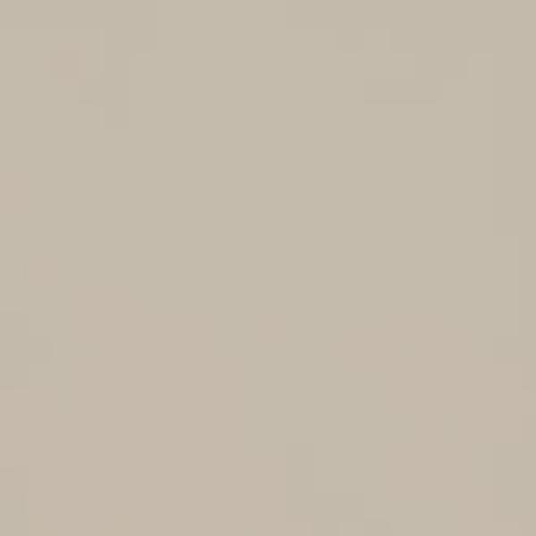 CIR Forever Color Matte Finish Beige 6x25