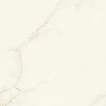 ATLAS CONCORDE Marvel Calacatta Apuano120x120 Silk - Marvel X