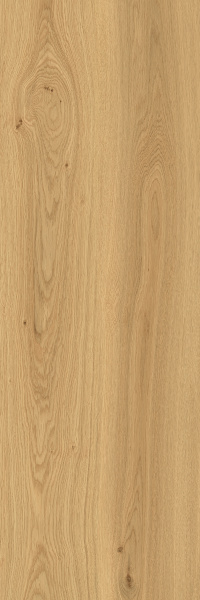 TAGINA Montalcino Rovere Dorato 40x120