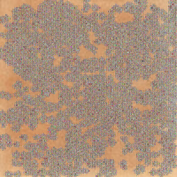 SERENISSIMA Italica Terra Dolce 60x60 1086200