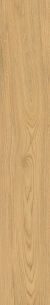 TAGINA Montalcino Quercia Dorato 20x120