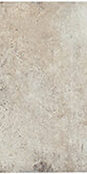 CIR Chicago South Side 20x40 1048687
