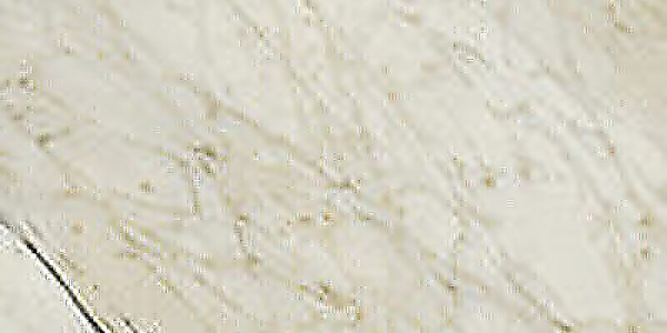 SERENISSIMA Palazzo Palladiana Mix Champa 60x120