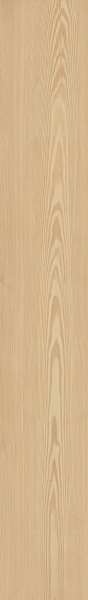 TAGINA Montalcino Larice Paglierino 26.5x180