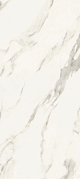 ENERGIEKER Th2 Calacatta Round Lin 60x120