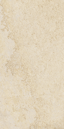 TAGINA Aurum Stone Pure Naturale 30x60