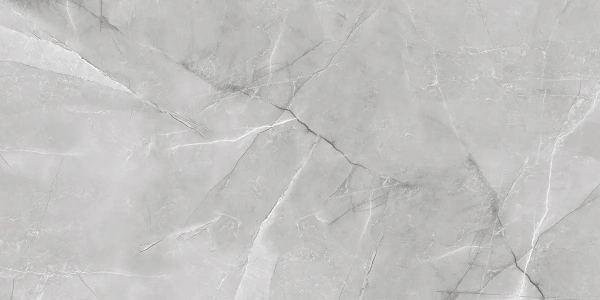 ARMANI SILVER  керамогранит полированный 120x60 см  1142G
