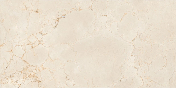 Керамогранит Maimoon Ceramica (Маймун Керамика) Itacid criox moss 120х60 см