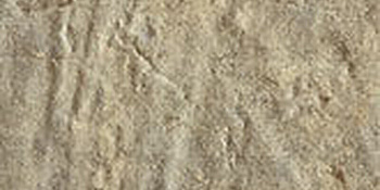 CIR Boston Brick North End 10x20