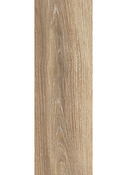TAGINA Evoque Grad Toro Doussie 20mm 40x120 105385