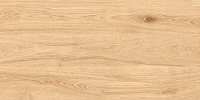 Керамогранит Maimoon Outdoor Deckwood Amber 120x60