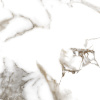 Progress ORO BIANCO керамогранит полированный 60x60 см AB 1131G