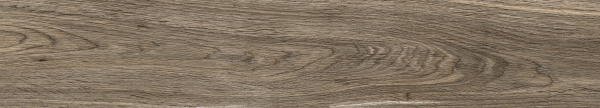 Керамогранит Absolut Gres (Абсолют Грес) Wildwood Nero матовый 120x20 см, AB1134W