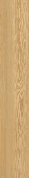 TAGINA Montalcino Larice Dorato 20x120