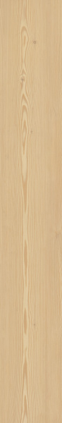 TAGINA Montalcino Larice Paglierino 26.5x180