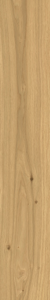 TAGINA Montalcino Rovere Dorato 20x120