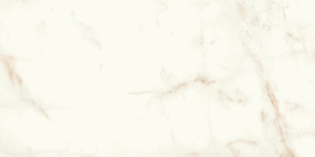 ATLAS CONCORDE MARVEL Calacatta Delicato 60X120 Matt - Marvel Shine