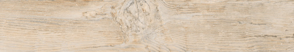 Керамогранит Absolut Gres (Абсолют Грес) Forest Essenze Beige матовый 120x20 см, AB1104W