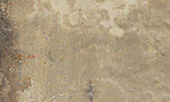 CIR Havana Elem Tropicana X14 10x6