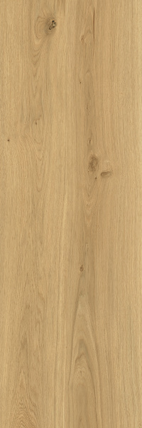 TAGINA Montalcino Rovere Dorato 40x120