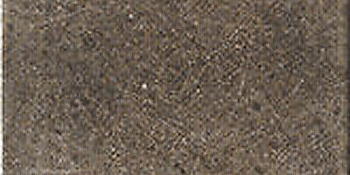 CIR Miami Light Brown 10x20
